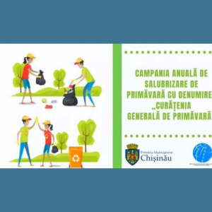 Procesul de organizare și desfășurare a lucrărilor de salubrizare și amenajare a teritoriului în IET nr.125 sectorul Centru