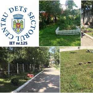 În IET nr.125 teritoriul este mereu îngrijit