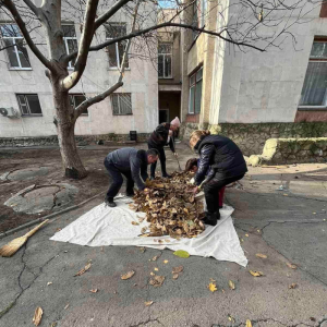 Colectarea și evacuarea frunzișului de pe teritoriul IET nr. 8, 125 și 210