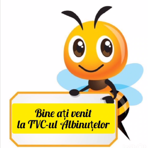 TVC-ul cunoștințelor, a fost un semn al exclamării, o provocare, o evaluare a cunoștințelor copilașilor din grupa „ALBINUȚELE”