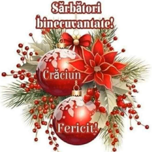 Sincere felicitări cu luminoasele sărbători de iarnă!